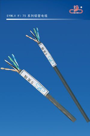 CAT5五类电缆